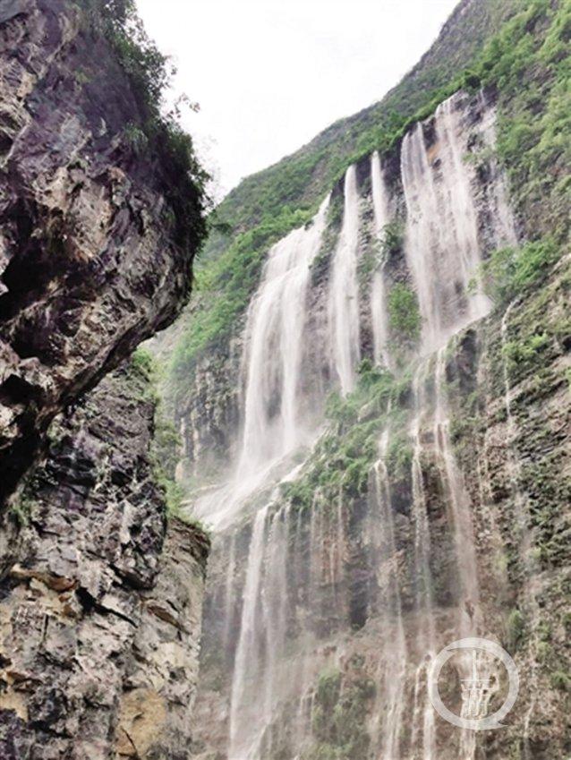 大无名森林逃生